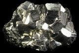 Gleaming, Cubic Pyrite Cluster - Peru #69577-1